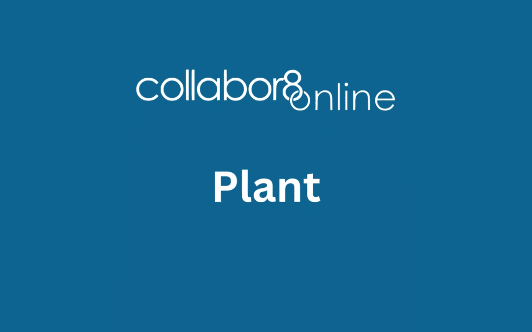 Plant (Subcontractors)
